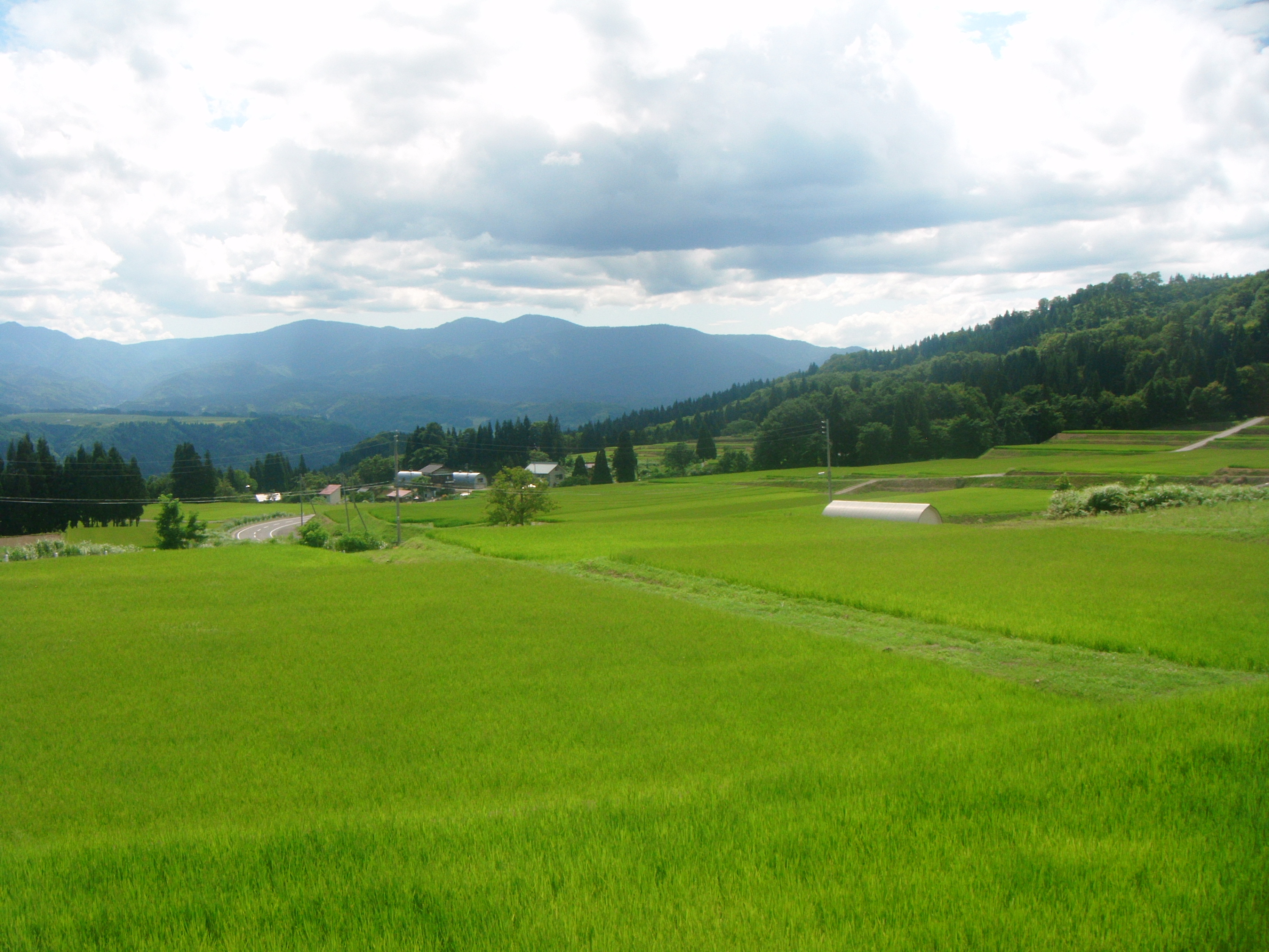 Favell01 ECHIGO TSUMARI LANDSCAPE